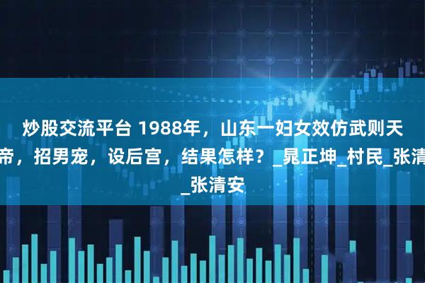 炒股交流平台 1988年，山东一妇女效仿武则天称帝，招男宠，设后宫，结果怎样？_晁正坤_村民_张清安