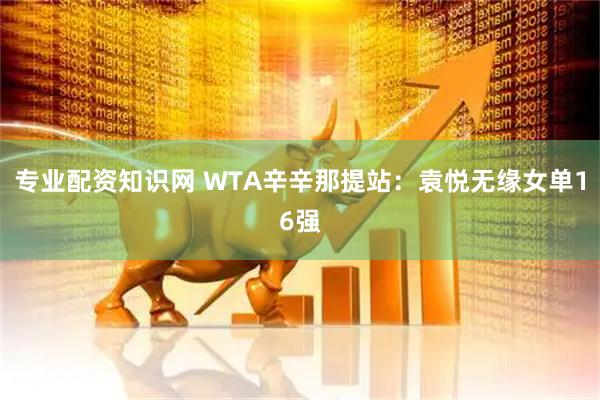 专业配资知识网 WTA辛辛那提站：袁悦无缘女单16强