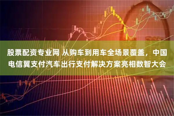 股票配资专业网 从购车到用车全场景覆盖，中国电信翼支付汽车出行支付解决方案亮相数智大会